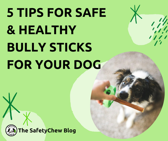 5 Tips for Safe & Healthy Bully Sticks for Your Dog