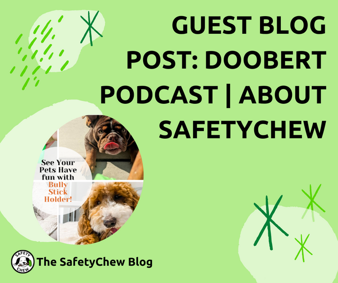 Guest Blog Post: Doobert Podcast | About SafetyChew Bully Stick Holder